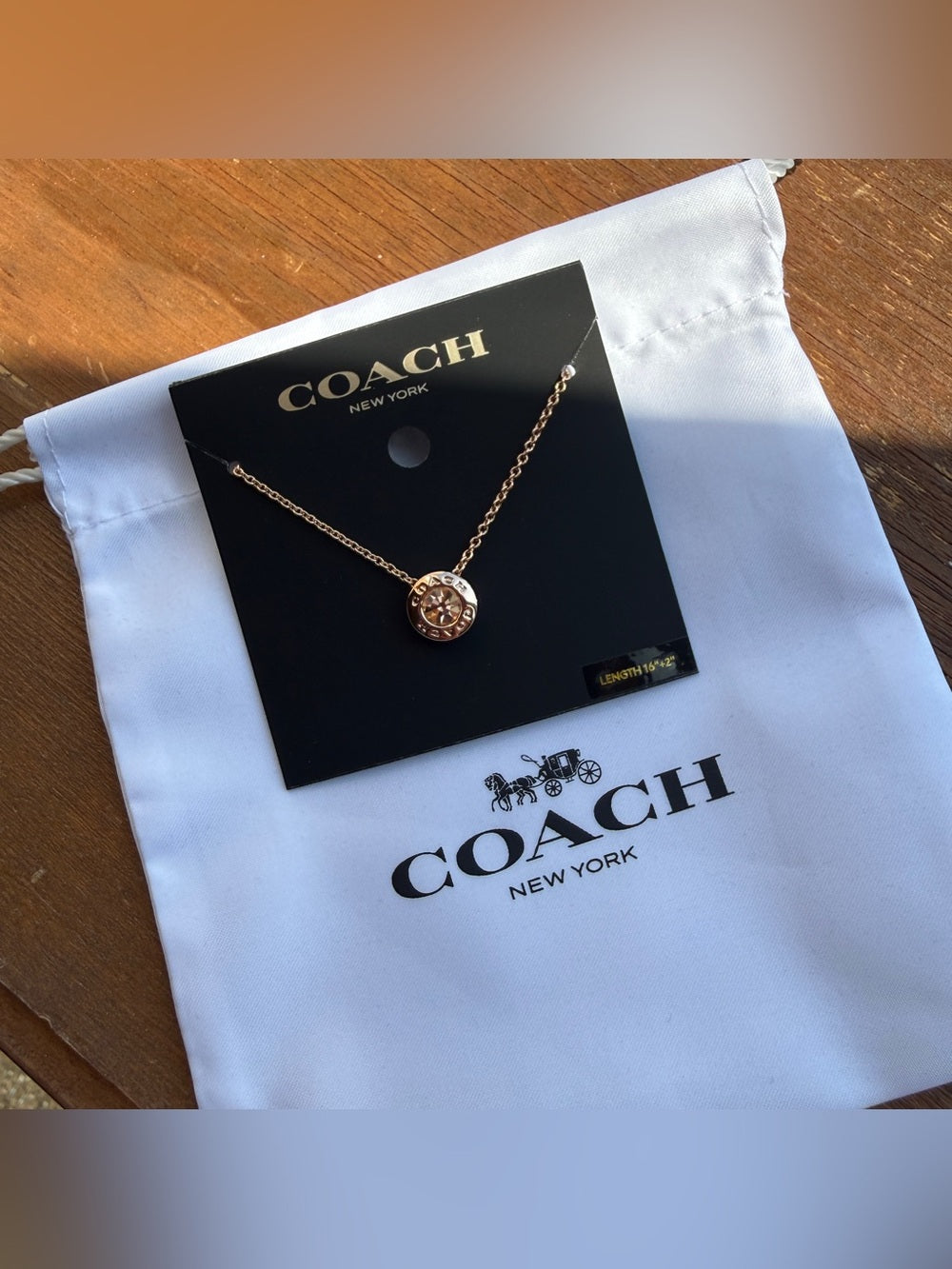 Coach 54514 rose gold disc pendant necklace front view